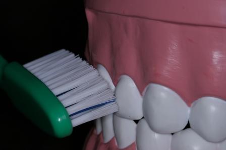brushing 2