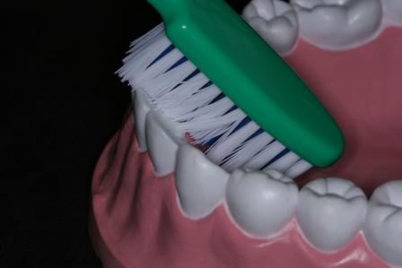 brushing 3 brushing 3